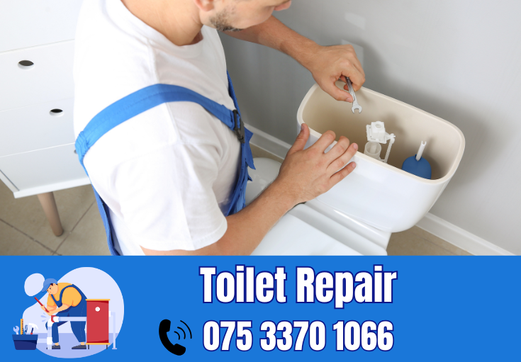 toilet repair Gravesham